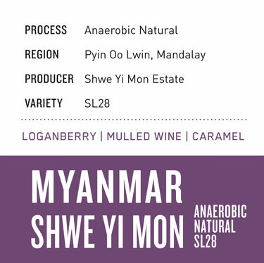 Myanmar Shwe Yi Mon | Anaerobic Natural SL28 - Dessert Oasis Coffee Roasters