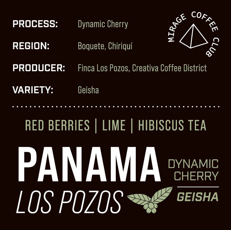 Panama Los Pozos | Dynamic Cherry Geisha - Dessert Oasis Coffee Roasters
