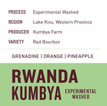 Rwanda Kumbya | Experimental Washed - Dessert Oasis Coffee Roasters